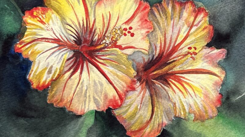 Flors tropicals a l’aquarel·la
