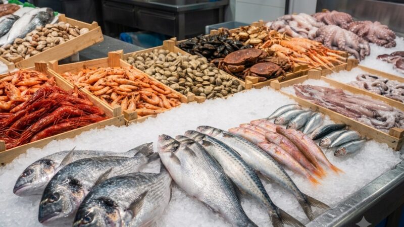 Cuina de mercat (octubre) – Peixos